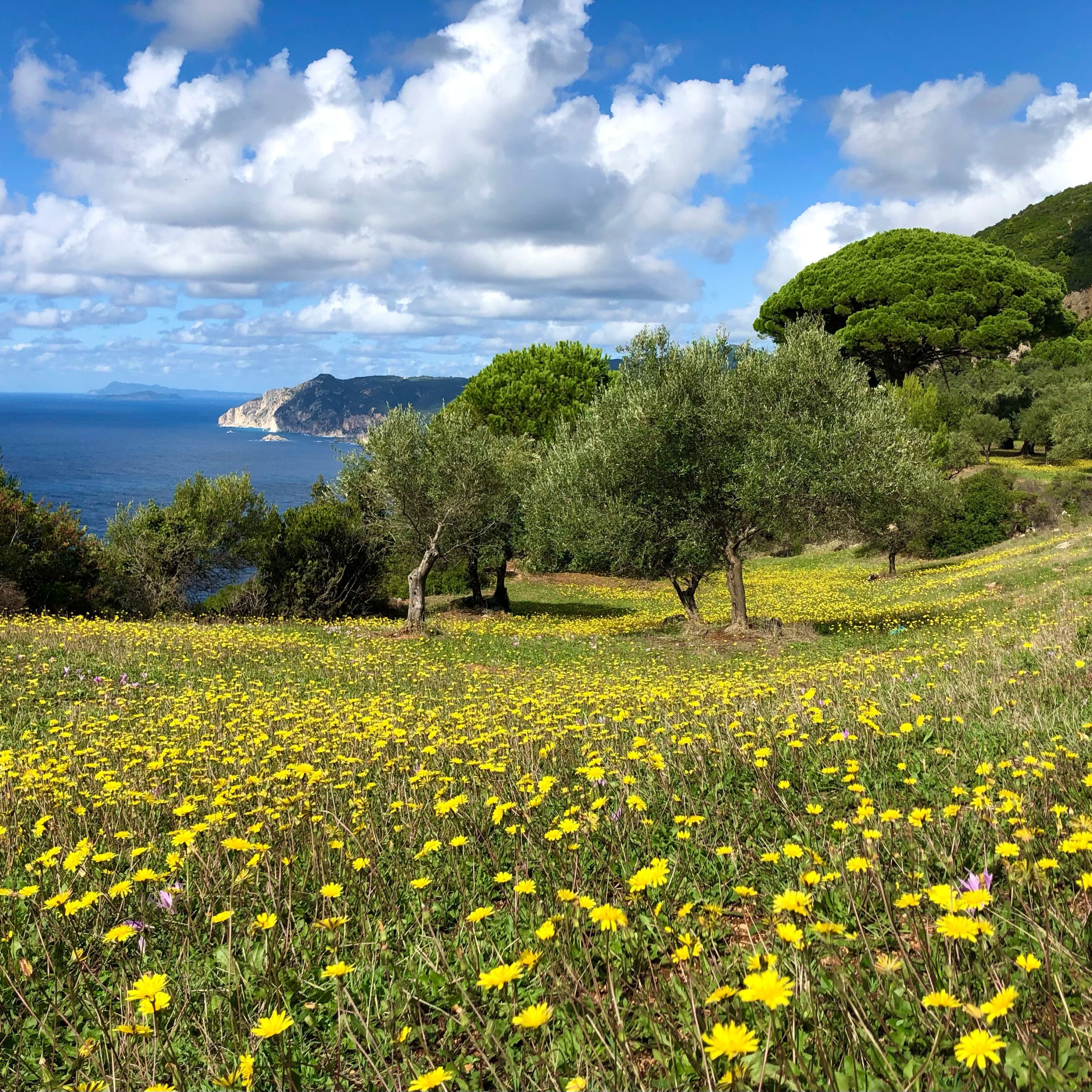 Giorno 2