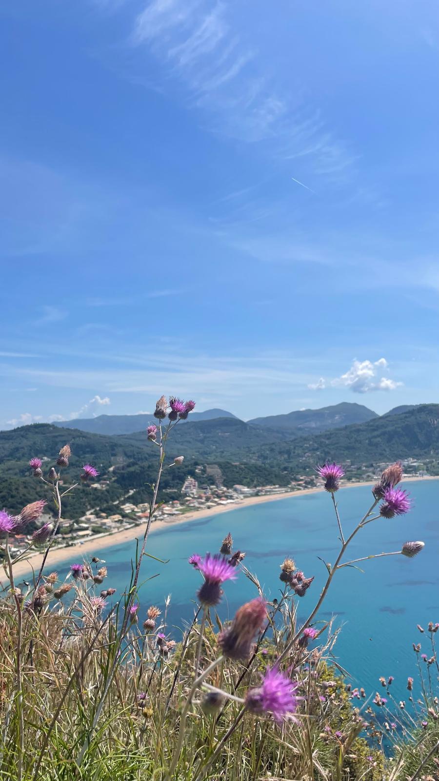 Giorno 2